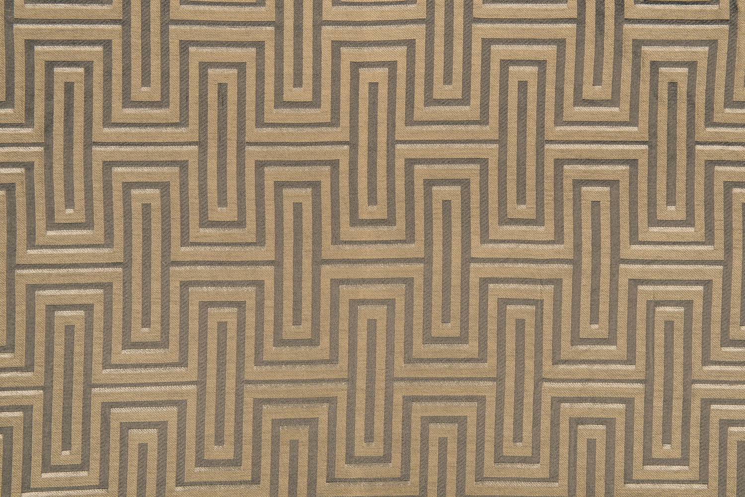 ARABELLA LIMA V700.JPG