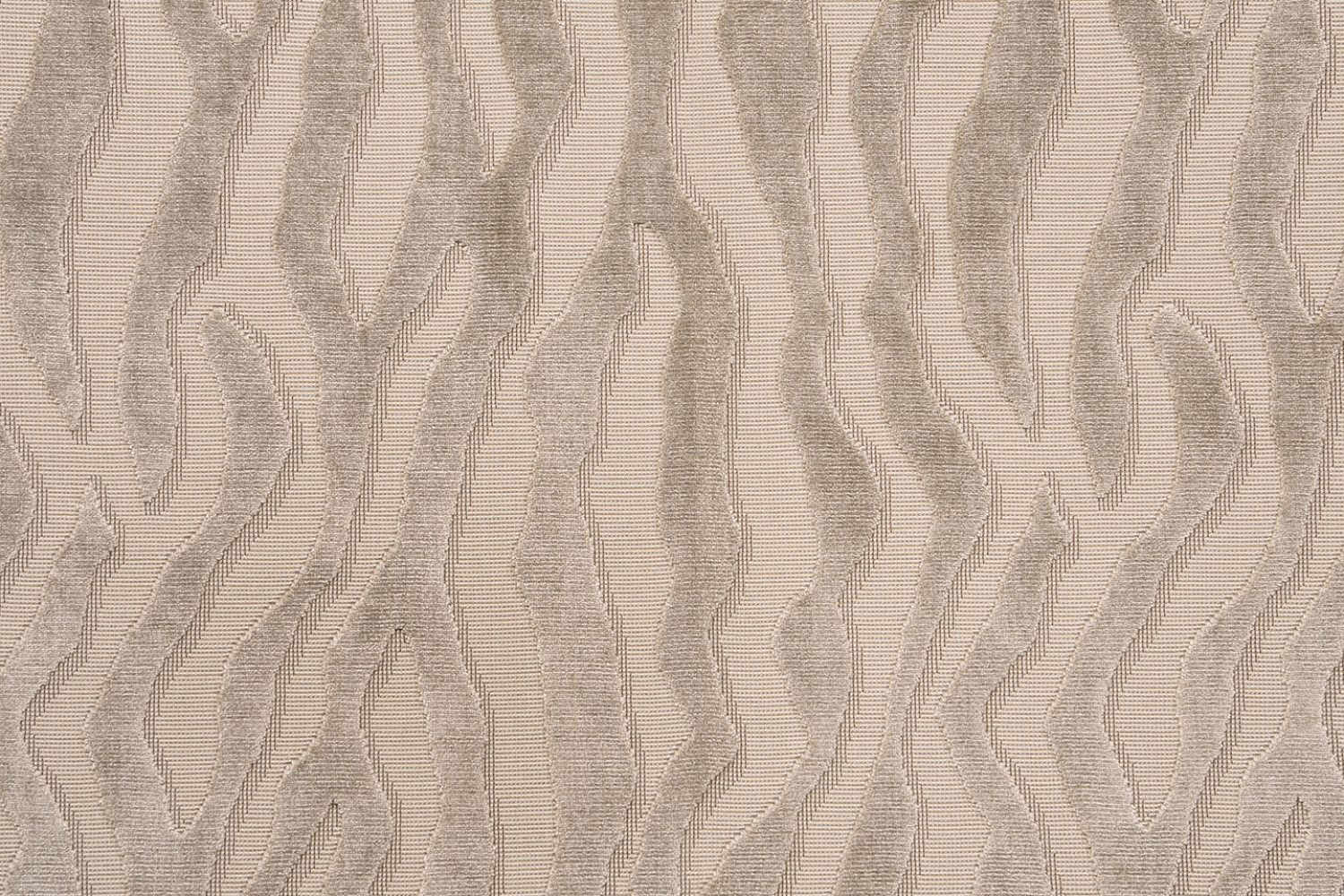 PALOMA DDH4-2102