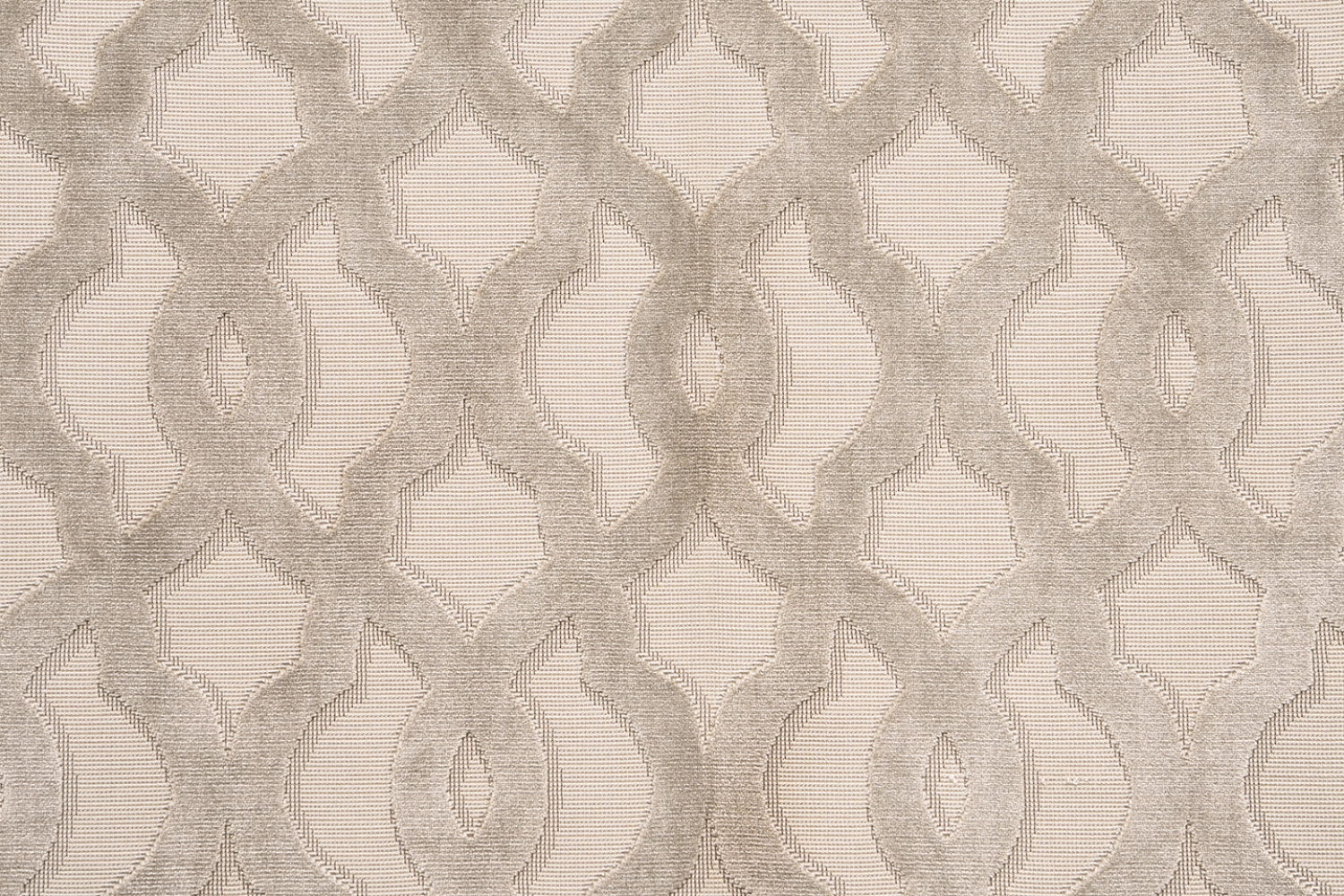 PALOMA DDH6-2102