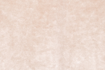 ARMANI-237