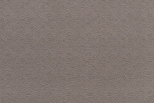 CAVALLI WAVE 1379-DM01