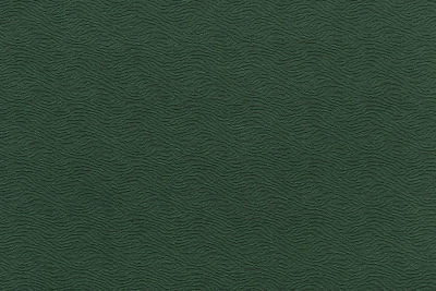 CAVALLI WAVE 1379-KY02