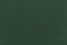 CAVALLI WAVE 1379-KY02