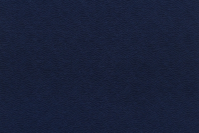 CAVALLI WAVE 1379-LY02