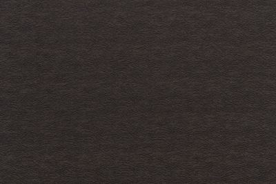 CAVALLI WAVE 1379-SY01