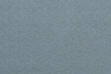 CAVALLI WAVE 1379-T02