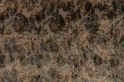 CLOE 15531-04