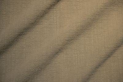 LAZARUS-123 TORTORA