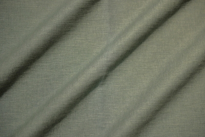 CANVAS FOREST