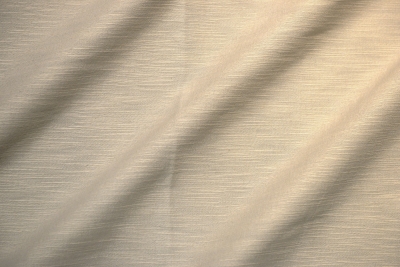 CANVAS COIN