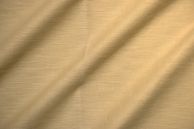 CANVAS TROUT