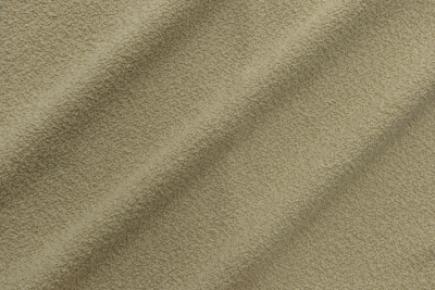 DESCRIBE-003