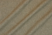 EGE-7391