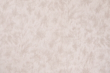 FIZZ-02