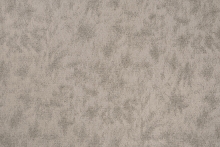 FIZZ-04