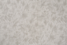 FIZZ-11