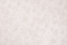 FIZZ-14