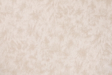 FIZZ-20