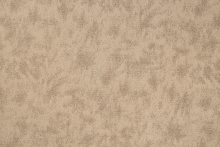 FIZZ-29
