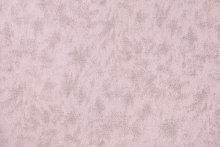 FIZZ-33
