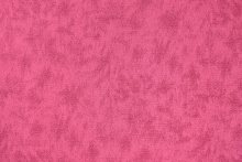FIZZ-36