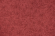FIZZ-38