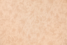 FIZZ-42