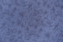 FIZZ-55