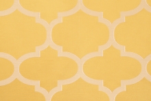 GEO-SARI 679-HY03