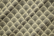 LEDON-4