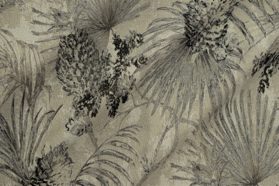 MAPACHO-19005