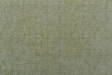 NISA DUZ 38411-10015