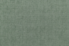 NISA DUZ 38411-10016