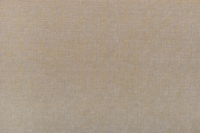 NISA DUZ 38411-1550