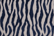PALOMA DDH4-0220