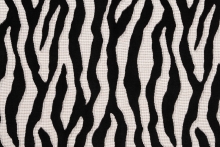PALOMA DDH4-1502