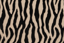 PALOMA DDH4-1503