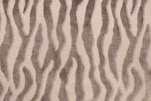 PALOMA DDH4-4120