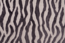 PALOMA DDH4-5502