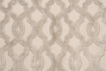 PALOMA DDH6-2102