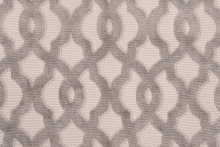 PALOMA DDH6-4120