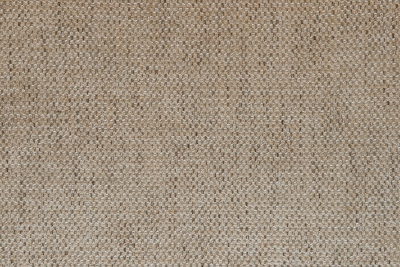 RIKEN-1009