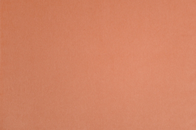 RUSY-12817