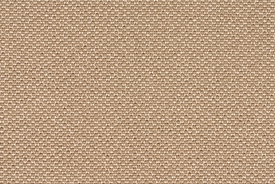 TXTL TABOR-02